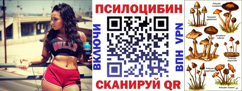 Псилоцибиновые грибы Psilocybe наркошоп Тетюши